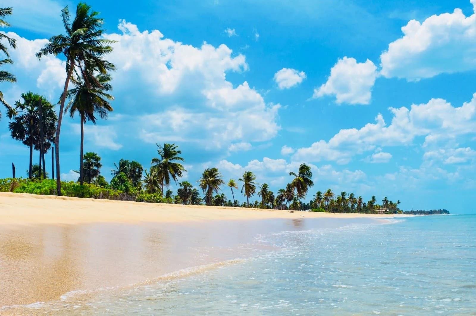 The Pristine Shores of Nilaveli