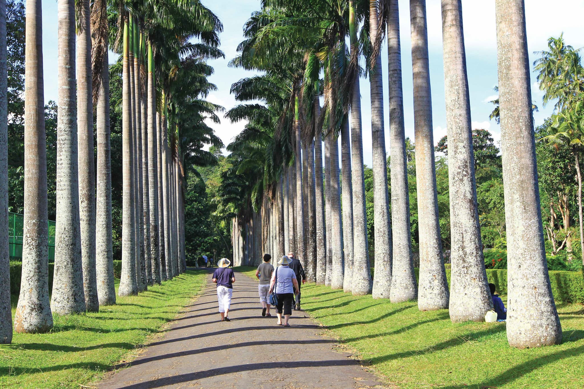 Peradeniya Botanical Gardens
