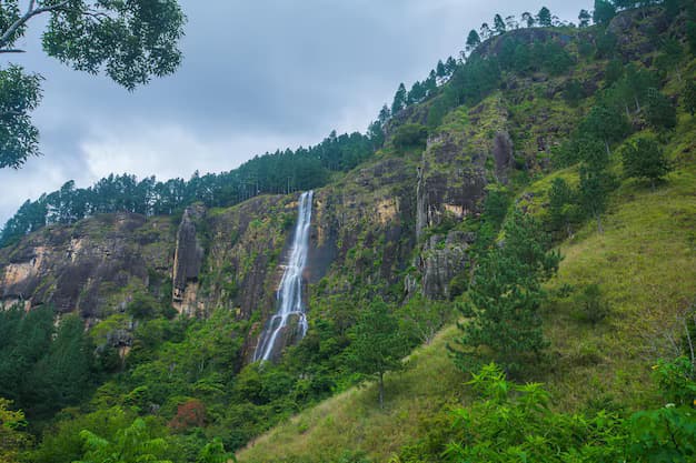 Bambarakanda Falls Trek (The Highest)